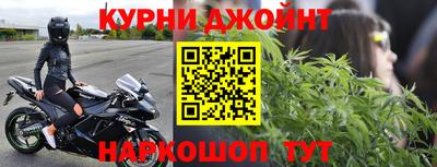 гашик Гатчина