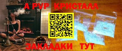 индика Гай