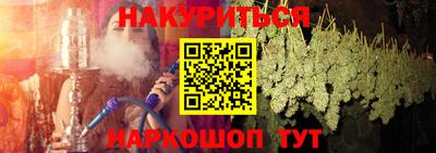 индика Гай