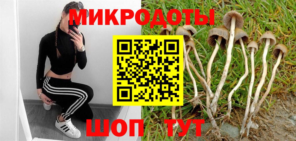цены наркотик  Псилоцибиновые грибы мухоморы  Вход с VPN  Мценск 