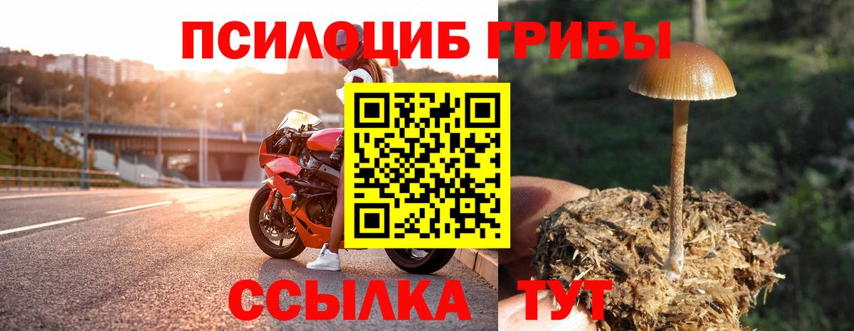 Галлюциногенные грибы Magic Shrooms Мценск